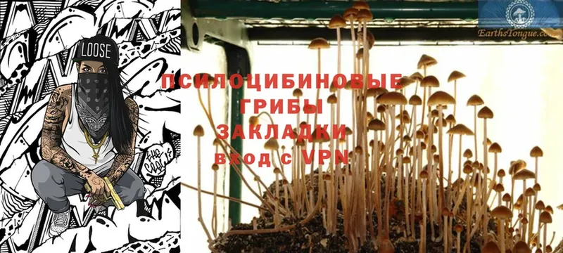 Псилоцибиновые грибы MAGIC MUSHROOMS  закладка  Пятигорск 